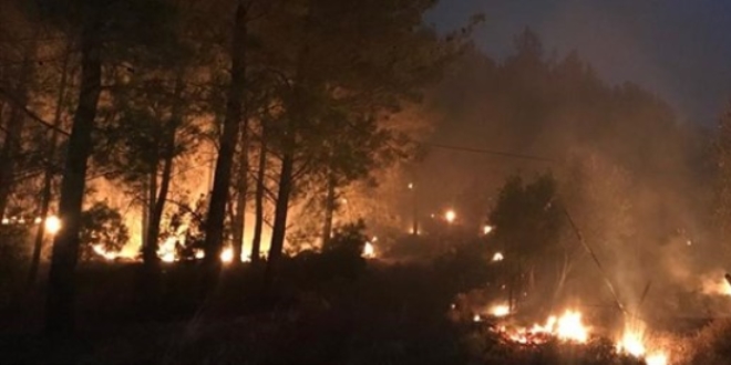 Muğla'daki orman yangınında 34 ev tahliye edildi