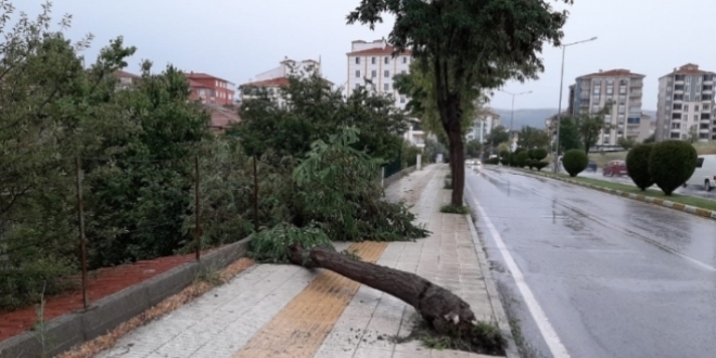 Ordu'da şiddetli fırtına tarım arazileri ve elektrik hatlarına zarar verdi