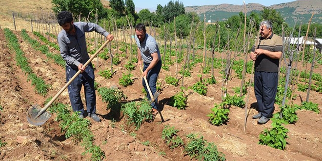 Terrden temizlenen kylerine dnp retime getiler