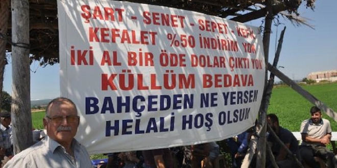 Bahçesinde yetişen ürünleri ücretsiz veriyor: Kefenin cebi yok