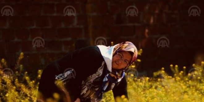 Müteahhidi boş arsada 'çay demleyerek' protesto ediyor