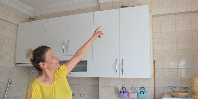 Kuş mutfağına yuva yaptı, bırakıp tatile gidemiyor