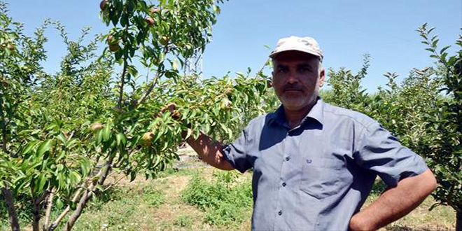 Adana'da öğrendiği meyveciliği köyüne taşıdı