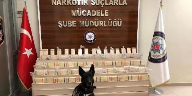 Polis köpeği Alfa, araçta gizlenen 151 kilogram uyuşturucuyu buldu
