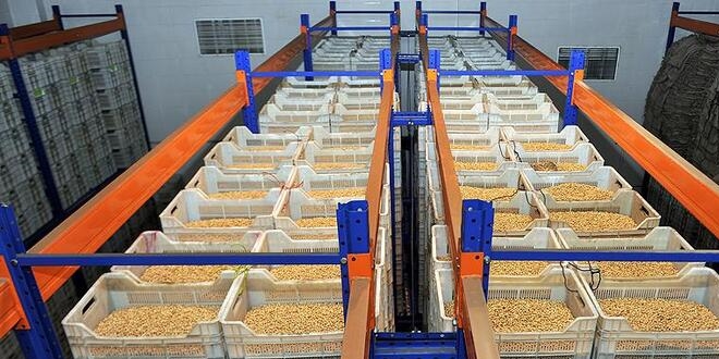 Türkiye'den 6 ayda 4 milyar dolarlık hububat ihracatı