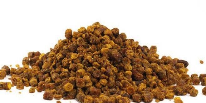 Kendi oğlu için ürettiği propolis ile girişimci oldu