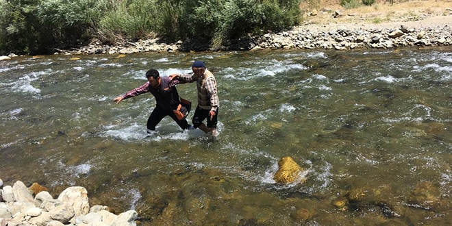 Bakan Pakdemir'den gen veterinere sosyal medyadan kutlama