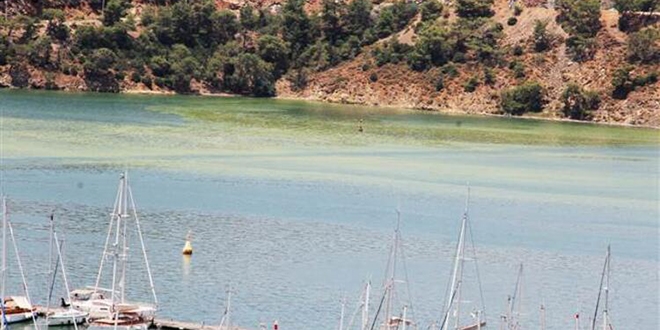 'Fethiye Körfezi'ndeki renk değişimi tarımsal ilaçlardan kaynaklanıyor'
