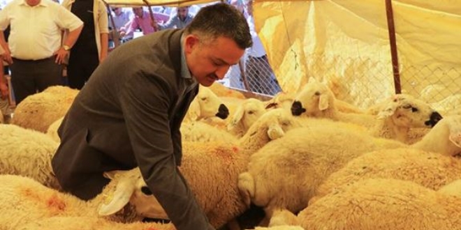 Pakdemirli: Kurban pazarlarında her türlü tedbiri aldık