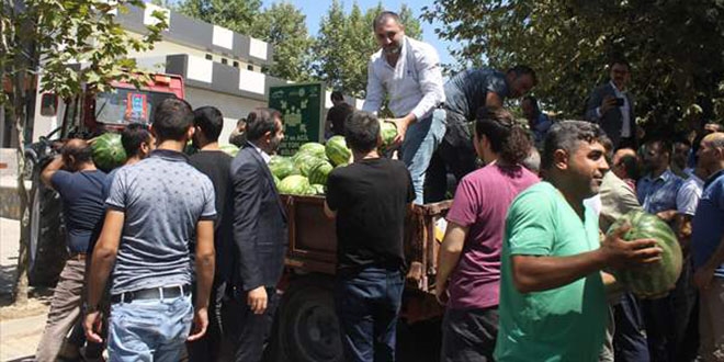 Tarlada kalan karpuzlar işçiye 'bayram hediyesi' oldu