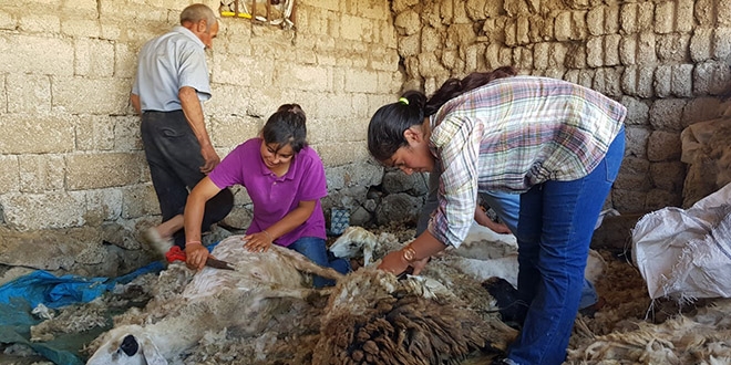 Dilara, elektrik elektronik mühendisliğini kazandı