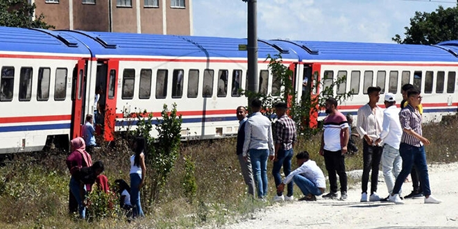 Hayvanlar kurtarmak isterken hayatn kaybetti