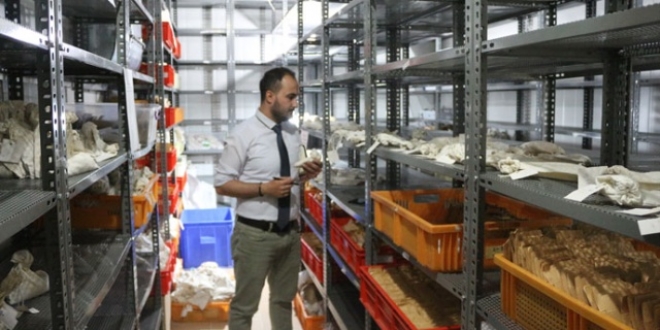 Tohumların kozmik odası