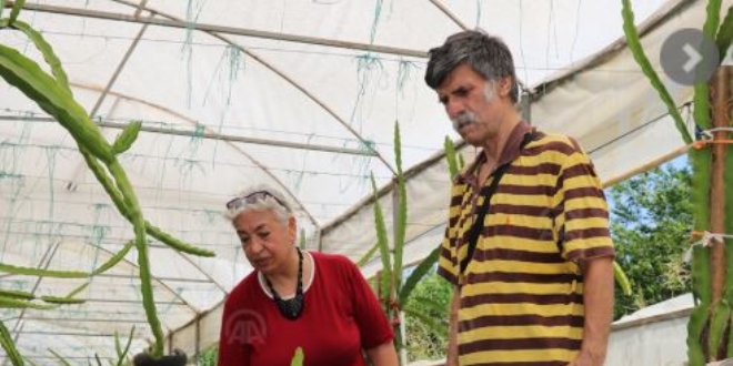 Emekli öğretmen çift tarımda örnek oluyor
