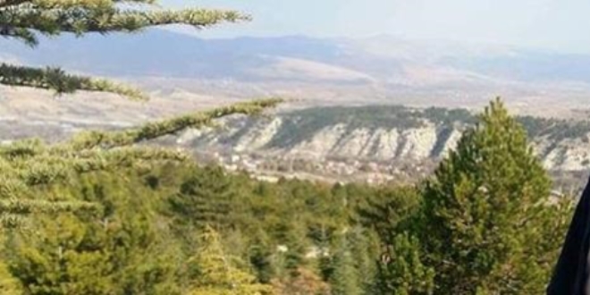 Şans eseri seçildiği muhtarlık görevi hayatına mal oldu