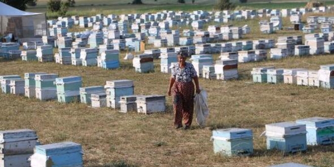 Muğlalı kadın arıcı 27 yıldır Hakkari'de arıcılık yapıyor