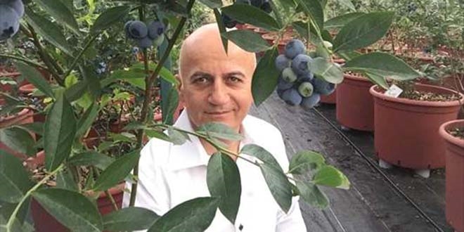 Kadınlar bu meyveye ilgi gösteriyor