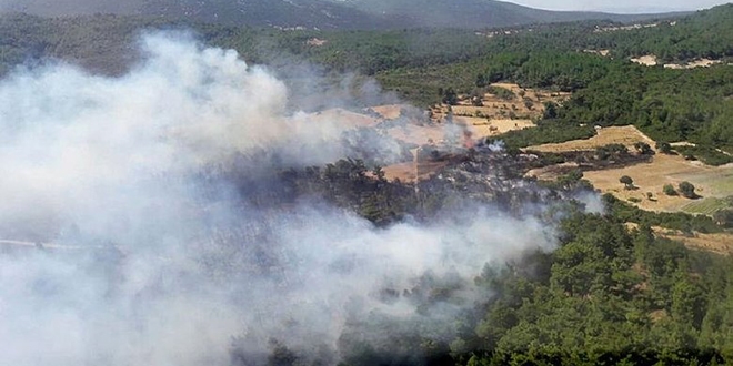 İzmir'de yangın 3. gününde, müdahele sürüyor