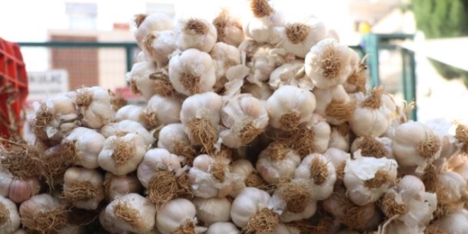 Sarımsak halde 15, pazarda 30 lira