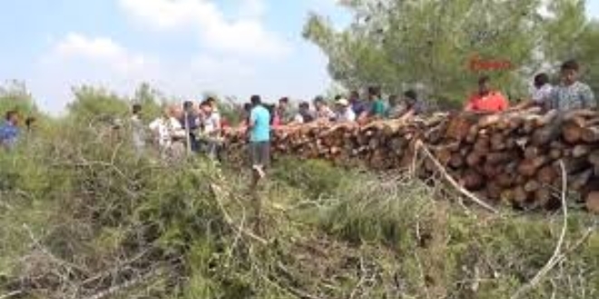 Yangın bitti 'nöbet' devam ediyor