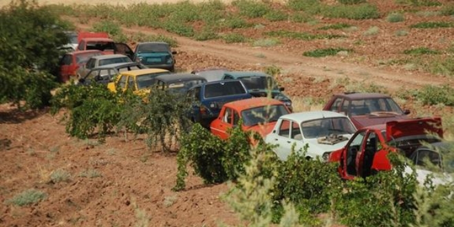 Evin bahçesinde şaşırtan koleksiyon! Tam 300 araç
