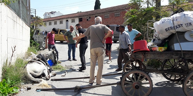 Uzman çavuşun duyarlılığı: Yaralı atı sahibinden kurtardı