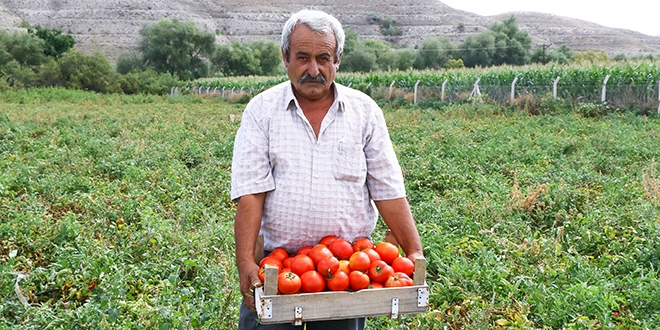 Bir asırlık tohumdan üretti, siparişine yetişemiyor