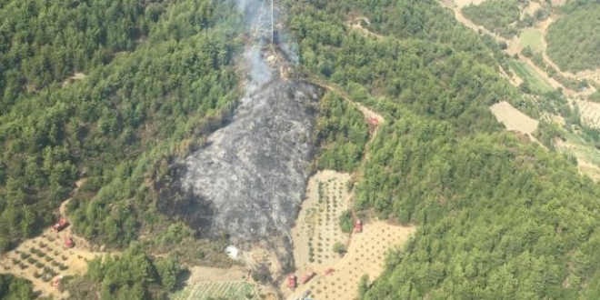 Hatay'da kan orman yangn sndrld