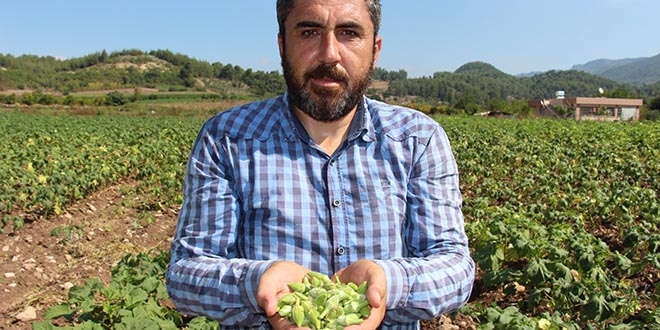 Yöneticiliği bırakıp çiftçi oldu, 'Huzuru tarımda buldum' dedi