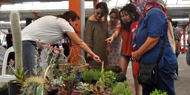 Hobi olarak başladı, şimdi ev ekonomisine katkı sağlıyor