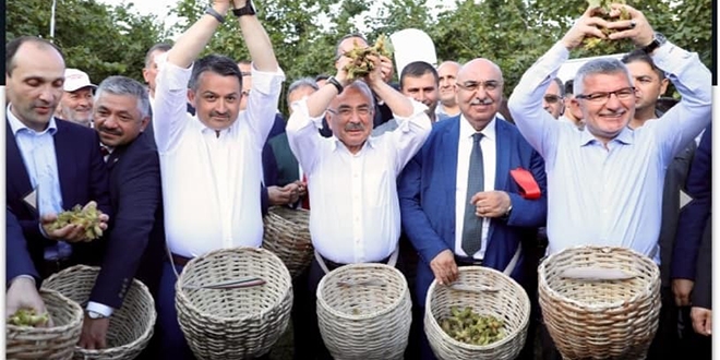 İki il arasında 'Fındığın Başkenti' tartışması