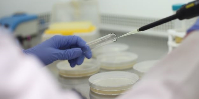 PAÜ'nün 4 projesi TÜBİTAK'tan destek aldı
