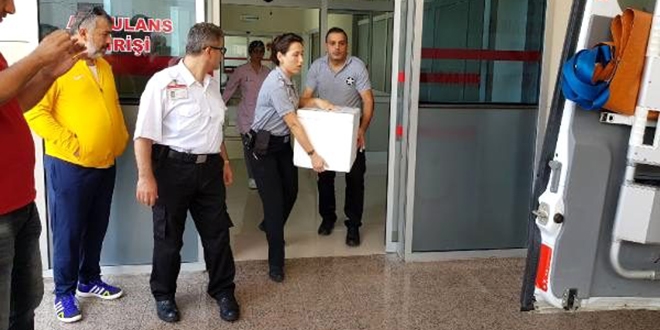 Kazada kopan bacak özel soğutmalı kutuyla hastaneye yetiştirildi