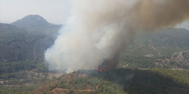 Muğla'da orman yangını...Havadan ve karadan müdale ediliyor