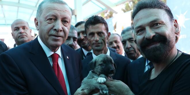 Cumhurbaşkanı'na Kangal köpeği hediye edildi