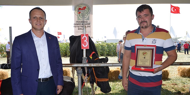 Yarışın en güzel ineği 'Boncuk', sahibine Almanya gezisi kazandırdı