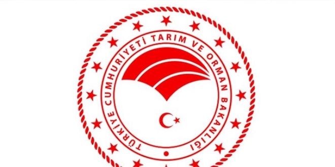 1 yıl önce görevden alınan Genel Müdürler, yeniden atandı