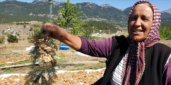 Çukurovalı kadınların tarhana mesaisi başladı