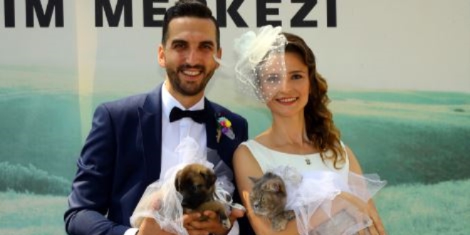 Hayvan barınağında 'Evet' dediler