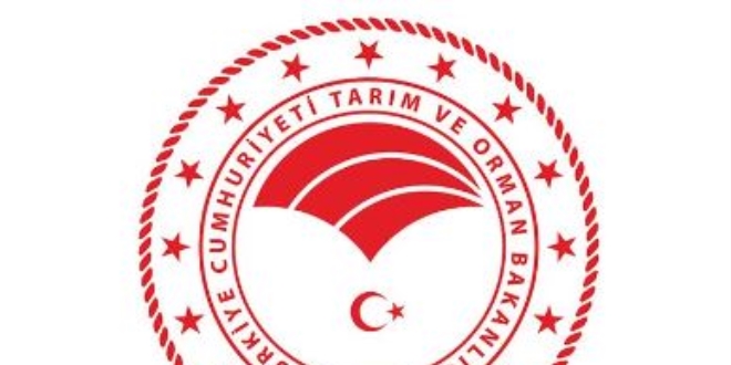 Gönüllülüğe 'sertifika ve özel kimlik' geliyor