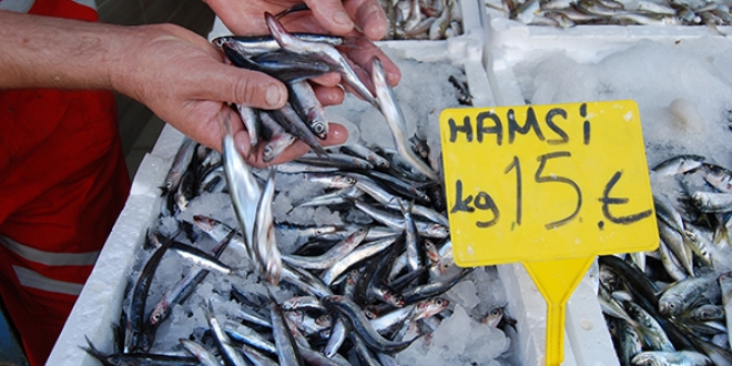 Hamsi yüzünü gösterdi
