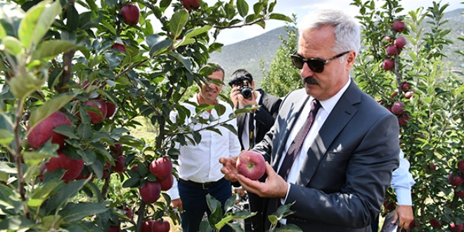 Vali, tekneyle göle açılarak, bahçede elma topladı