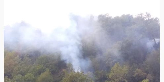 Sinop'taki orman yangını kontrol altına alındı