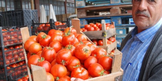 Domatesin kilogram fiyatı 20 kuruşa düştü