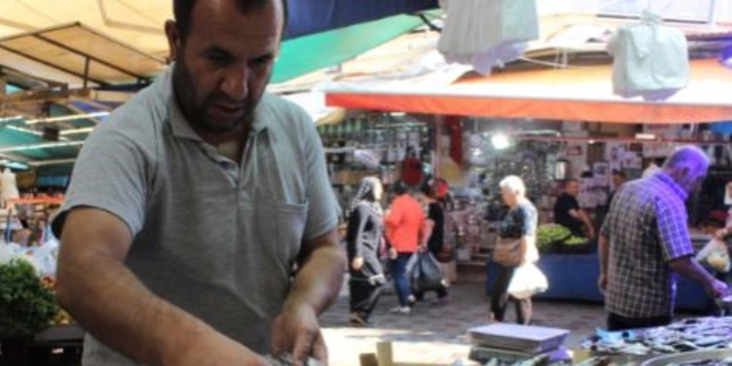 Tezgahta en ucuz balık sardalye... Kilosu 20 lira