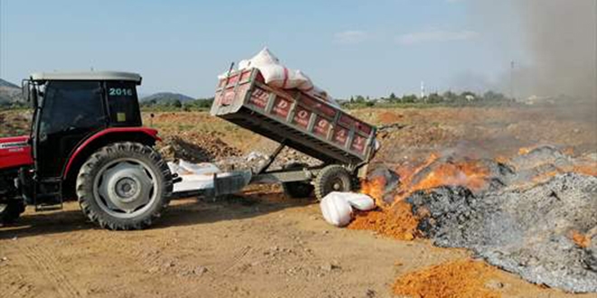 25 ton çürümüş domates atığı ele geçirildi