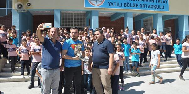 Yaralı kedi yavrusu yürüteçle hayata tutundu
