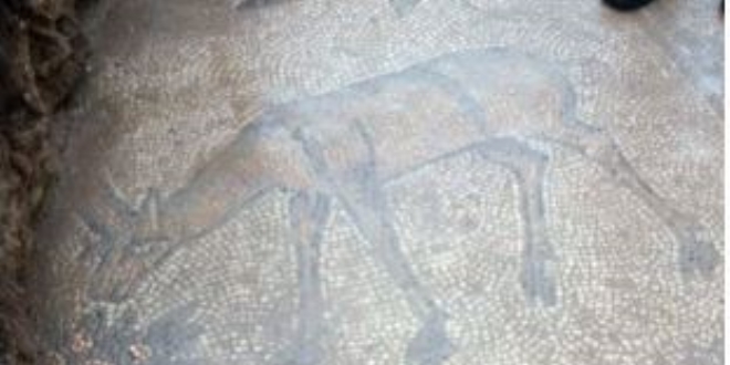 1500 yıllık mozaik, kaçak kazıda ortaya çıktı