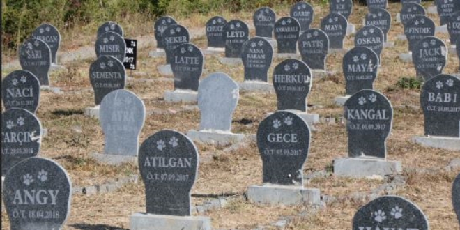 Belediyeden halk sağlığı önlemi: Hayvan mezarlığı