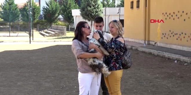Okullar sokak hayvanlarını sahiplenmeye başladı